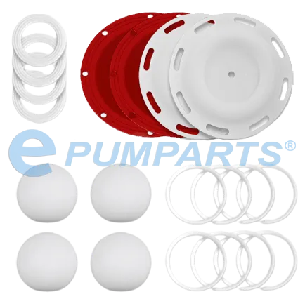 Kit de reparacion para Sandpiper modelo S1F plastica de 1"/ 25mm