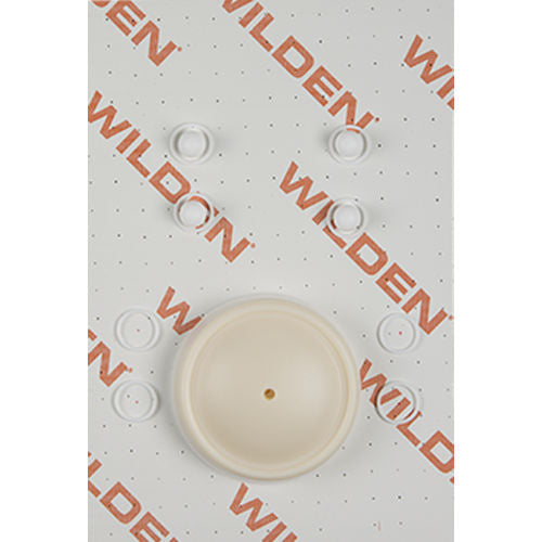 Kit de reparación húmeda Wilden - 01-9804-55