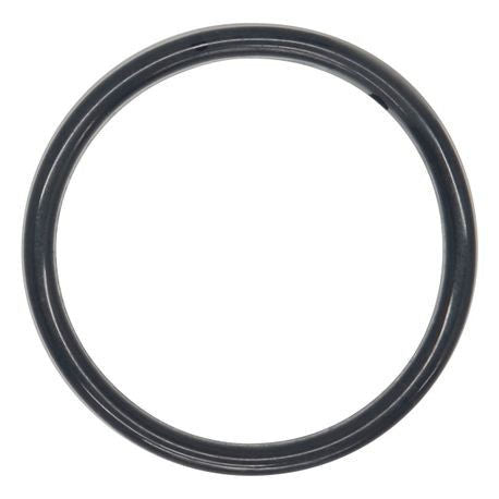 O-ring de Teflon encapsulado con Viton Wilden - 08-1200-60-500